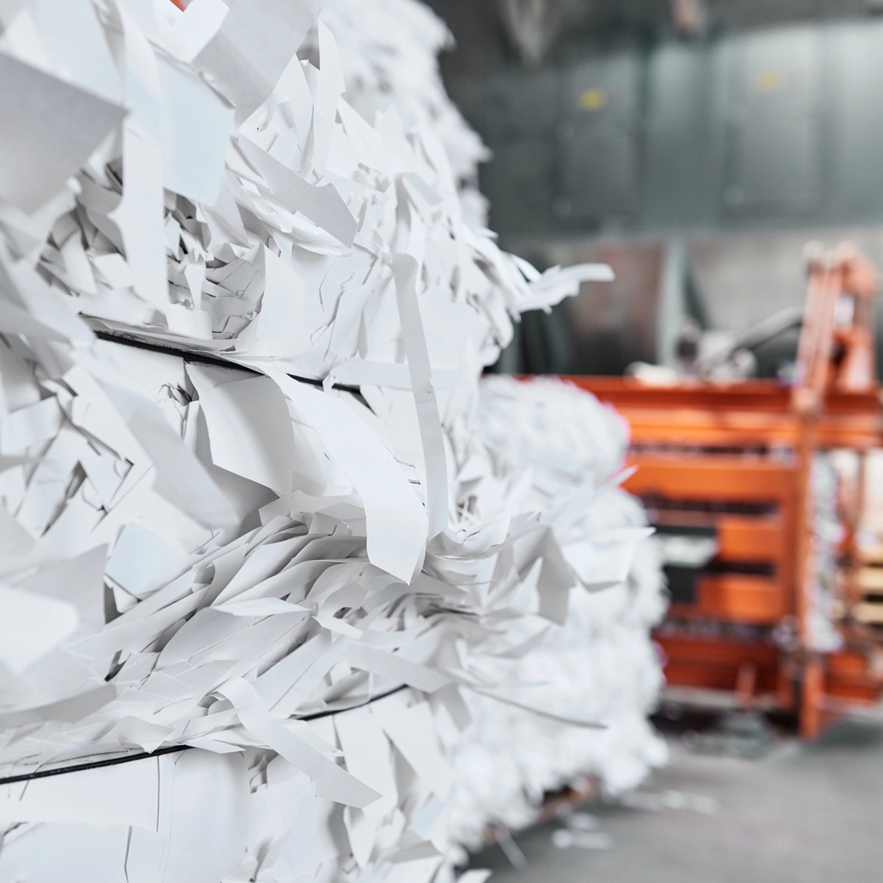 shredding-service-142376595-b shredding service 142376595 b